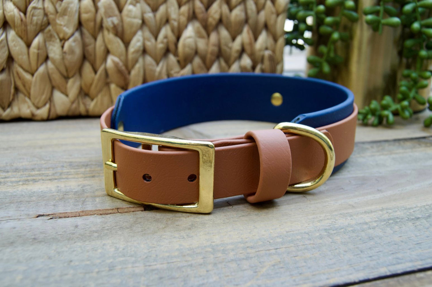 Biothane Collars