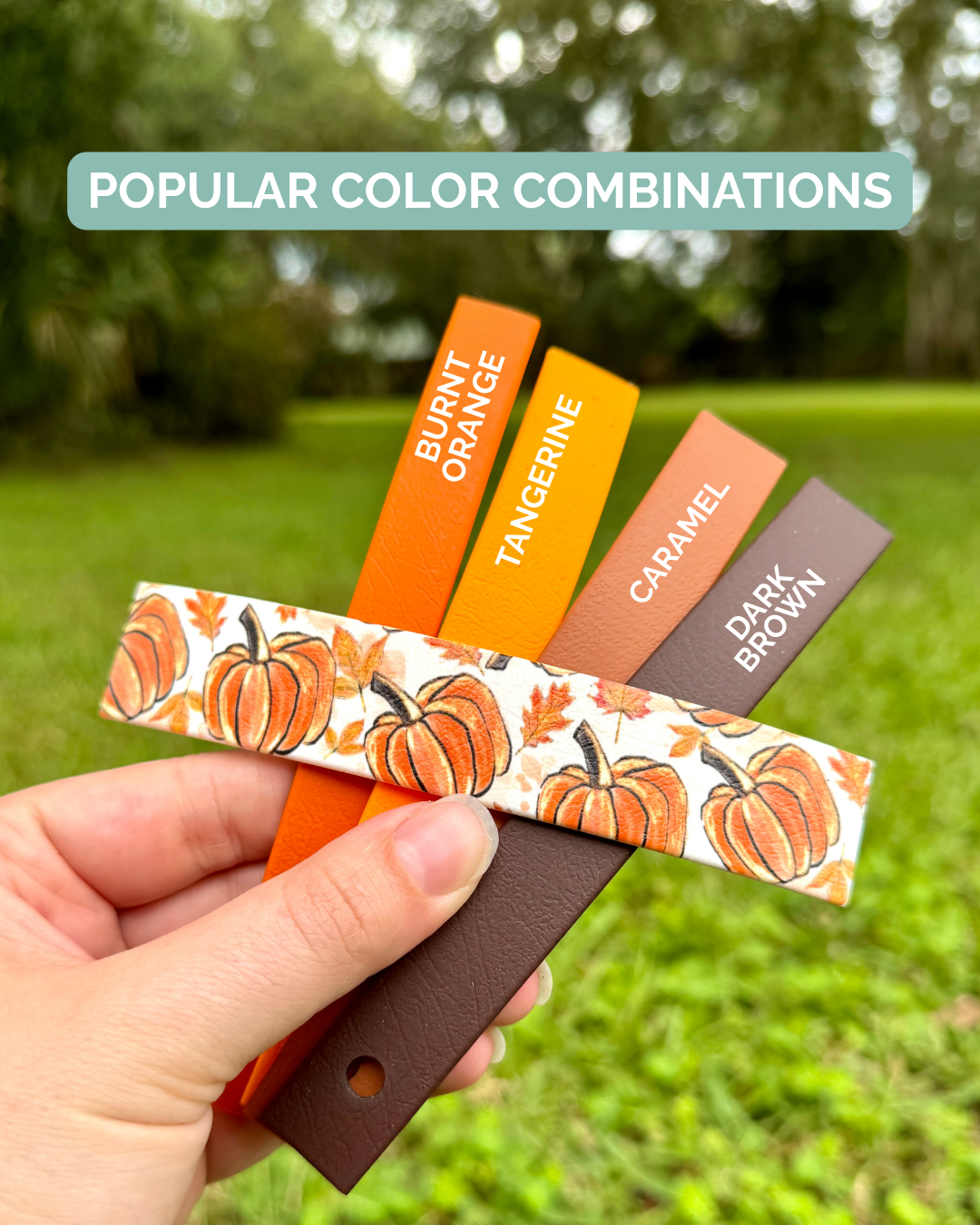 Pumpkins: Printed Double Layer Biothane Dog Collar