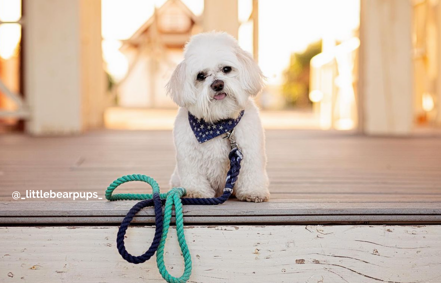 Custom Three Color Rope Dog Leash