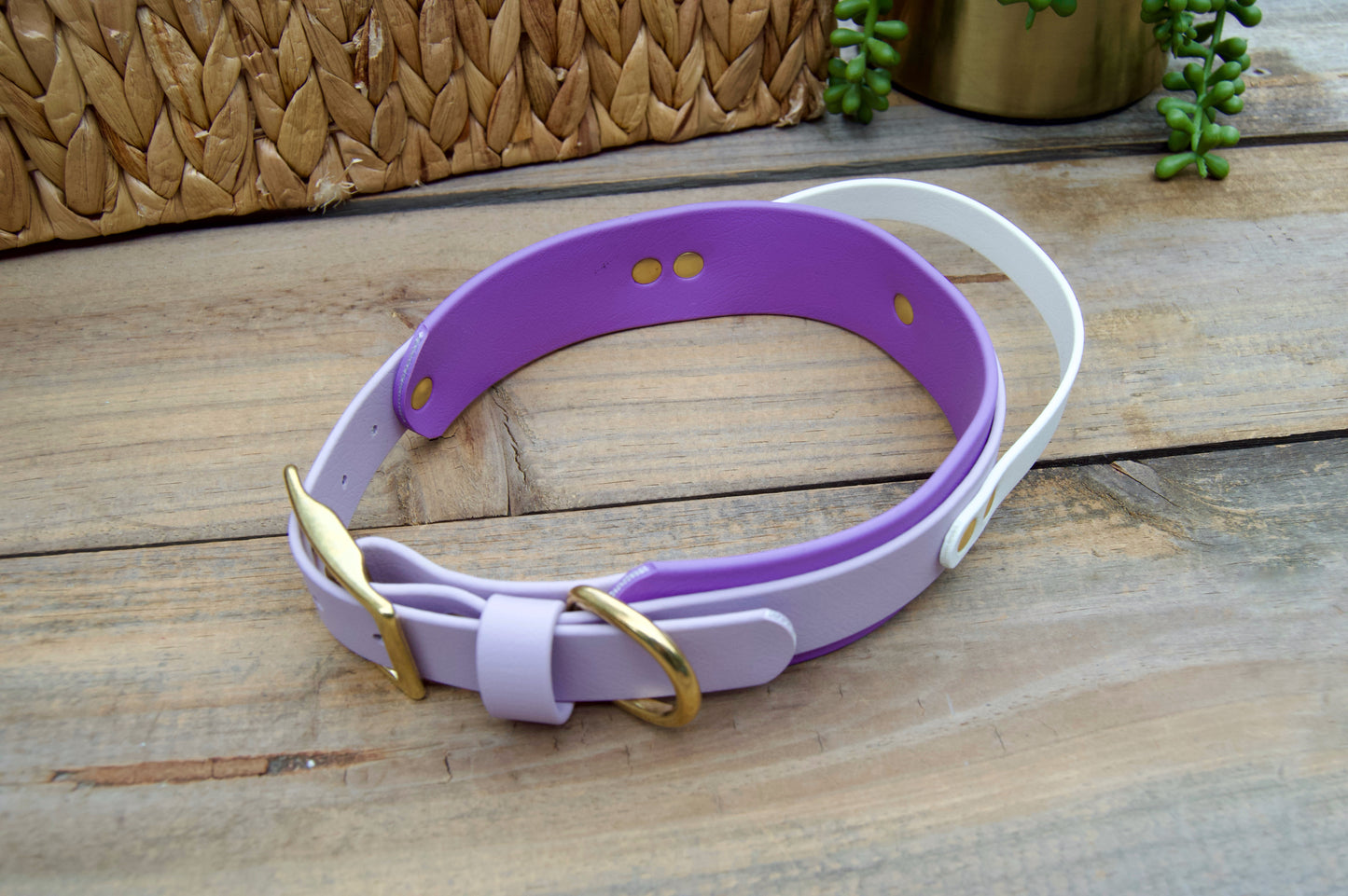 RTS Large 16-19 INCH Lilac and Amethyst Sport Handle Biothane Dog Collar