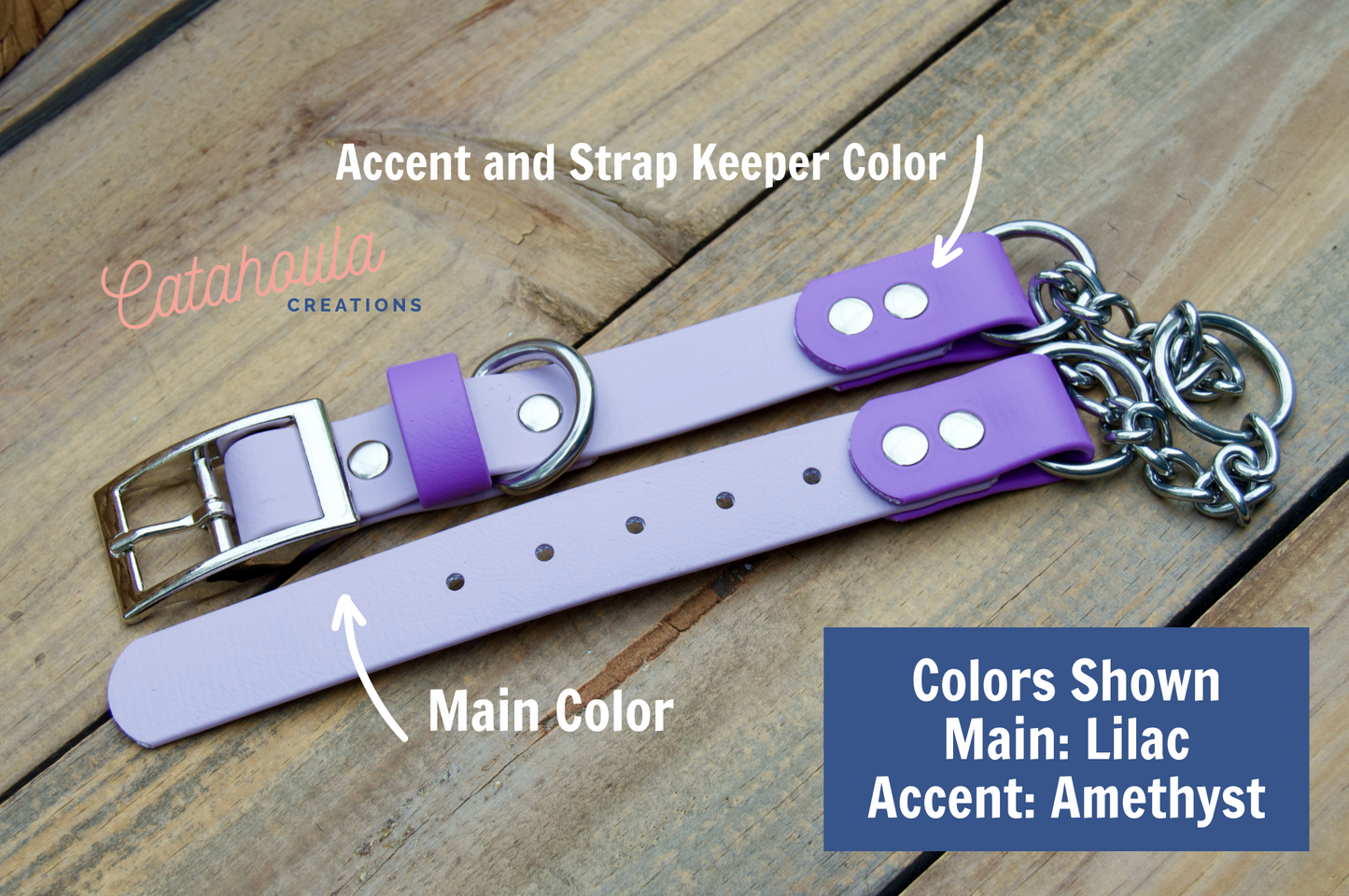 Two Color Accent Martingale Adjustable Biothane Dog Collar