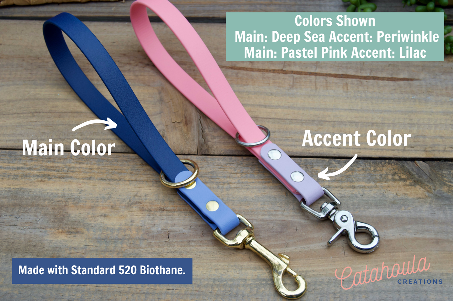 Two Color Biothane Grab Handle Dog Leash