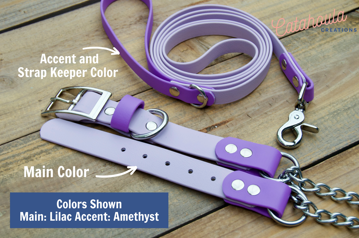 Bundle of Two Color Accent Chain Martingale Biothane Dog Collar and Leash