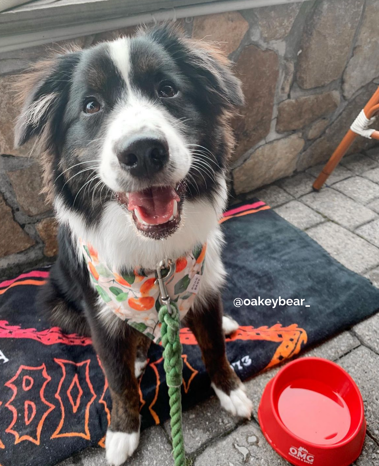 Custom Rope Dog Leash