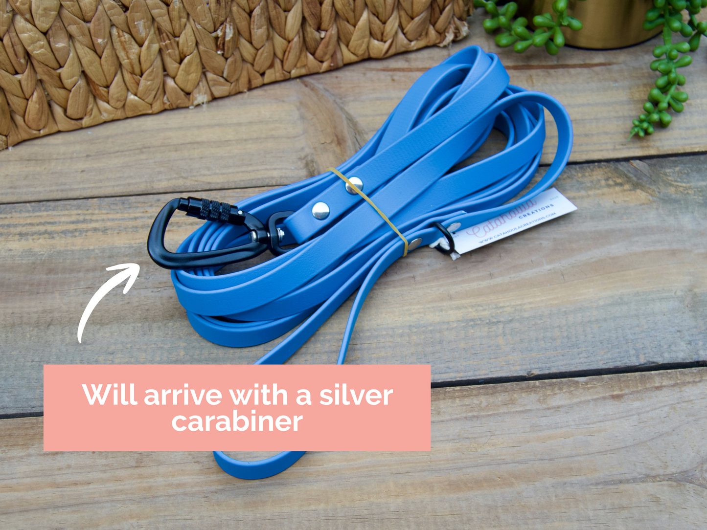 RTS 10 and 15 FOOT Classic Biothane Long Lines with Locking Carabiner