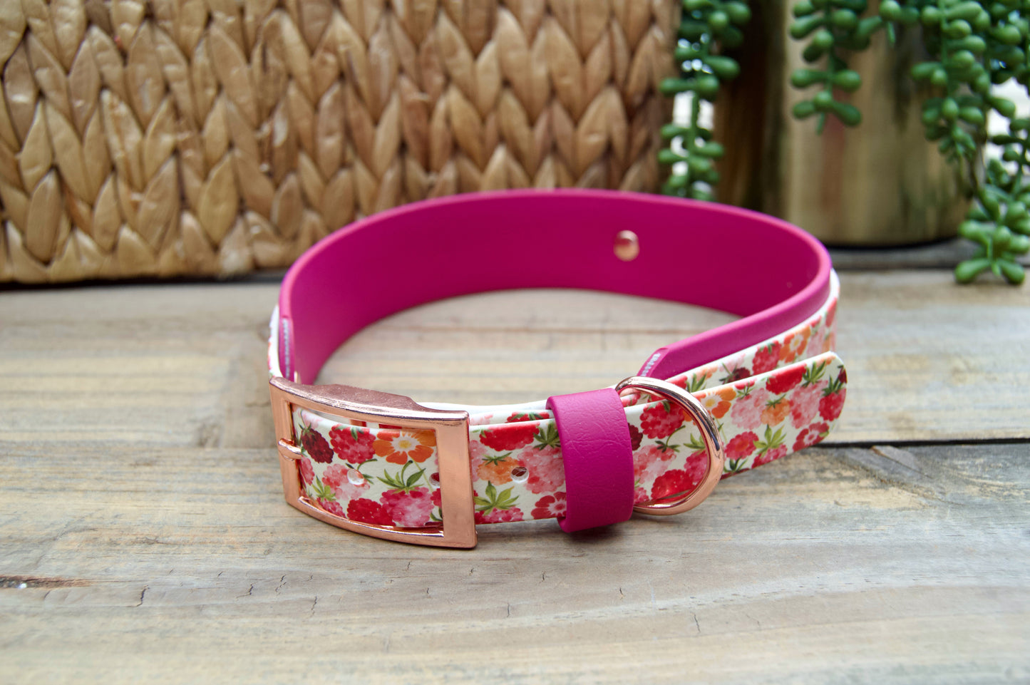 RTS XLarge 19-22 INCH Raspberries and Magenta Printed Double Layer Biothane Dog Collar