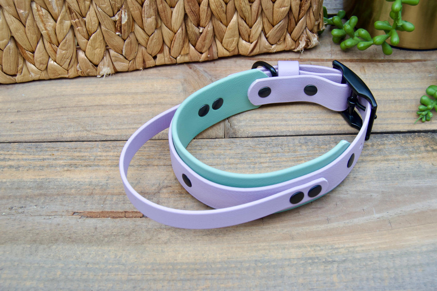 RTS 12.5-15.5 INCH Lilac and Sage Green Sport Handle Biothane Dog Collar