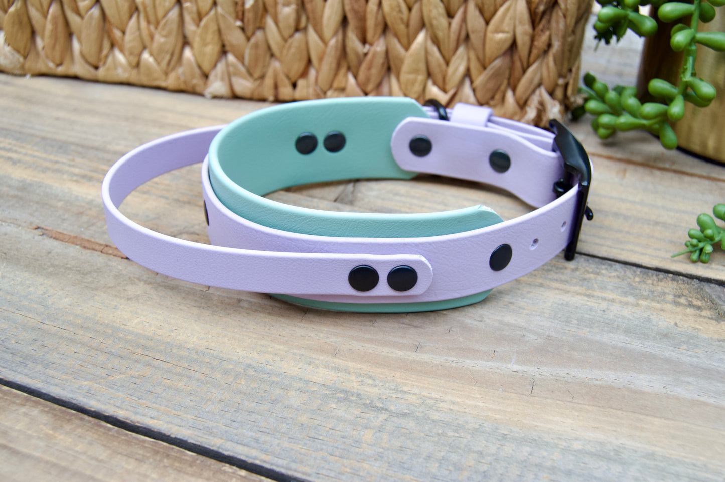 RTS 12.5-15.5 INCH Lilac and Sage Green Sport Handle Biothane Dog Collar