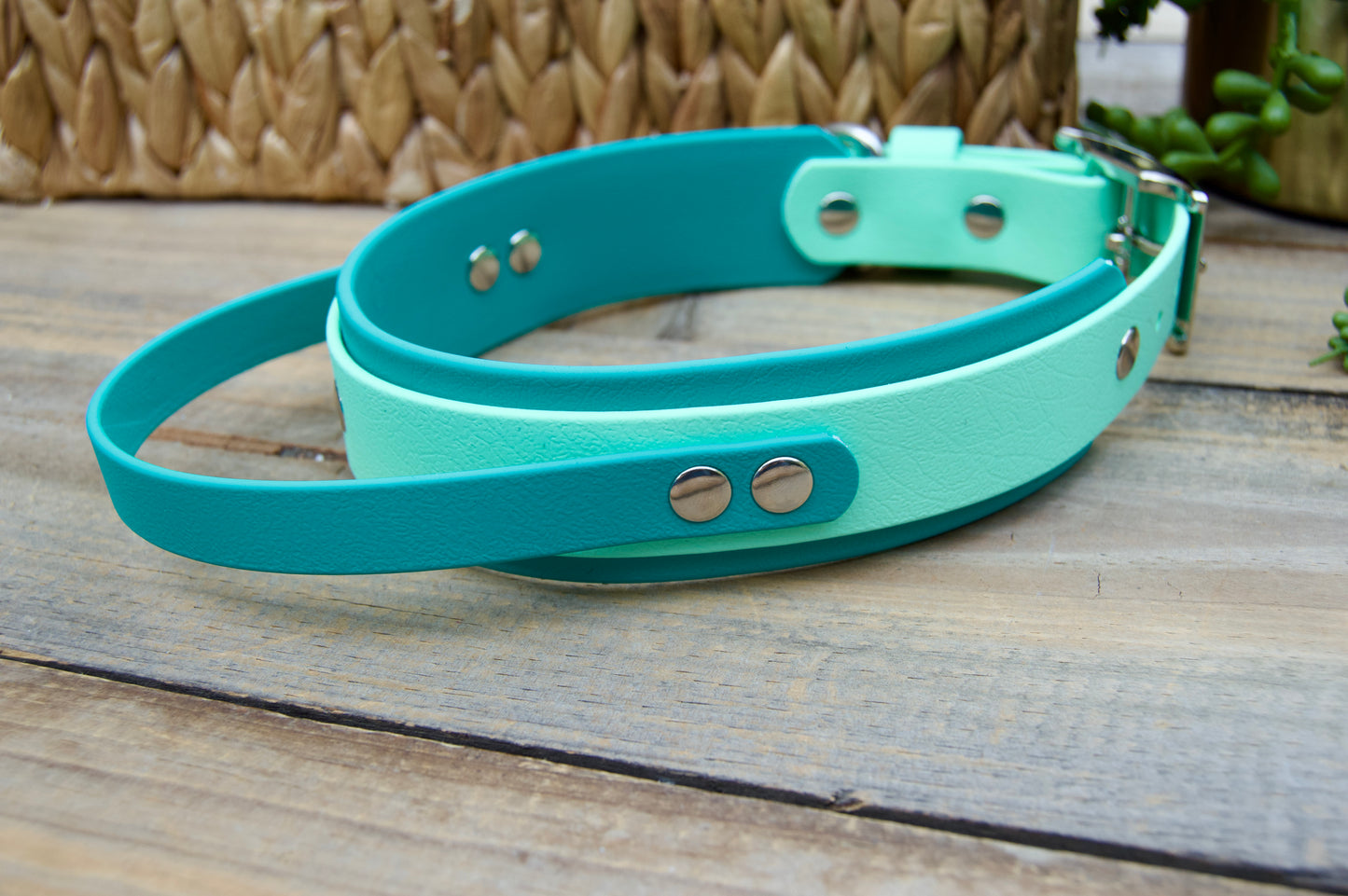 RTS 16-19 INCH Teal and Mint Green Sport Handle Biothane Dog Collar