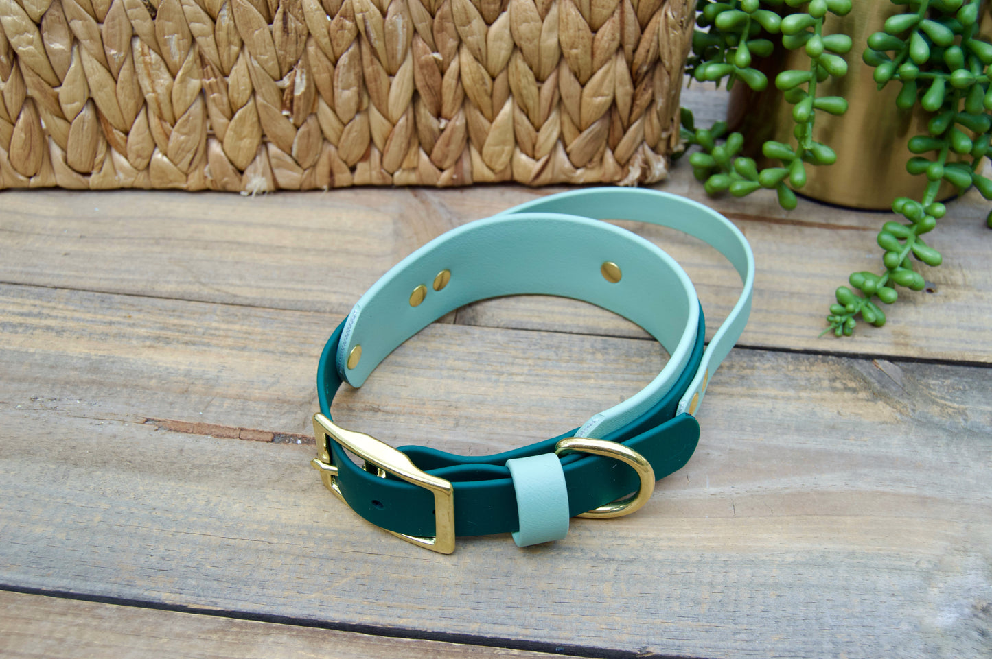 RTS 13-16 INCH Sage and Emerald Green Sport Handle Biothane Dog Collar