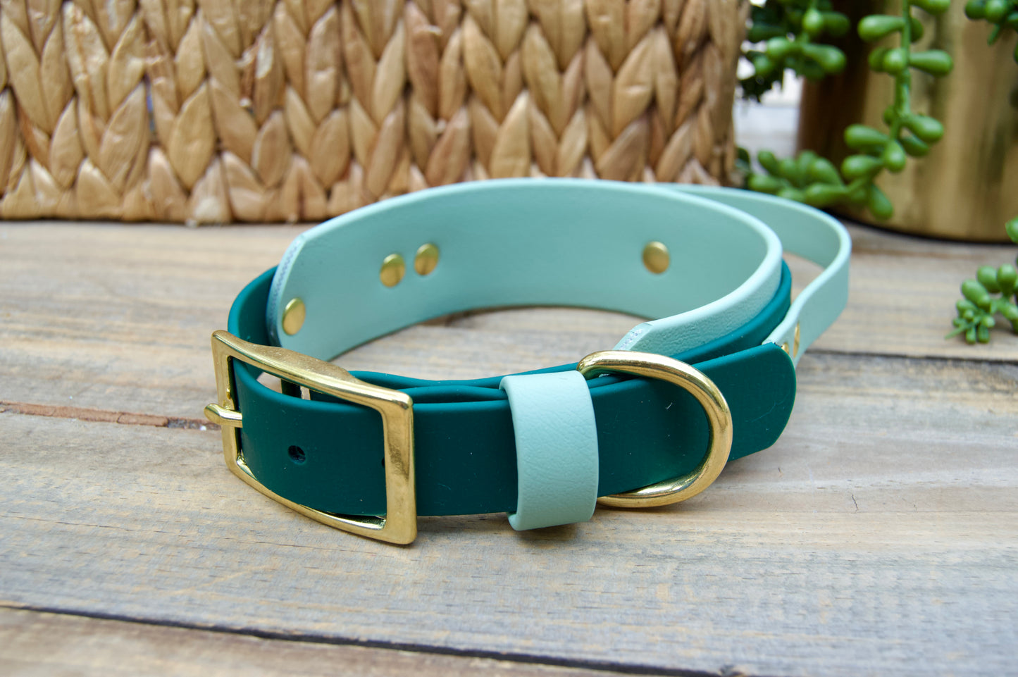 RTS 13-16 INCH Sage and Emerald Green Sport Handle Biothane Dog Collar