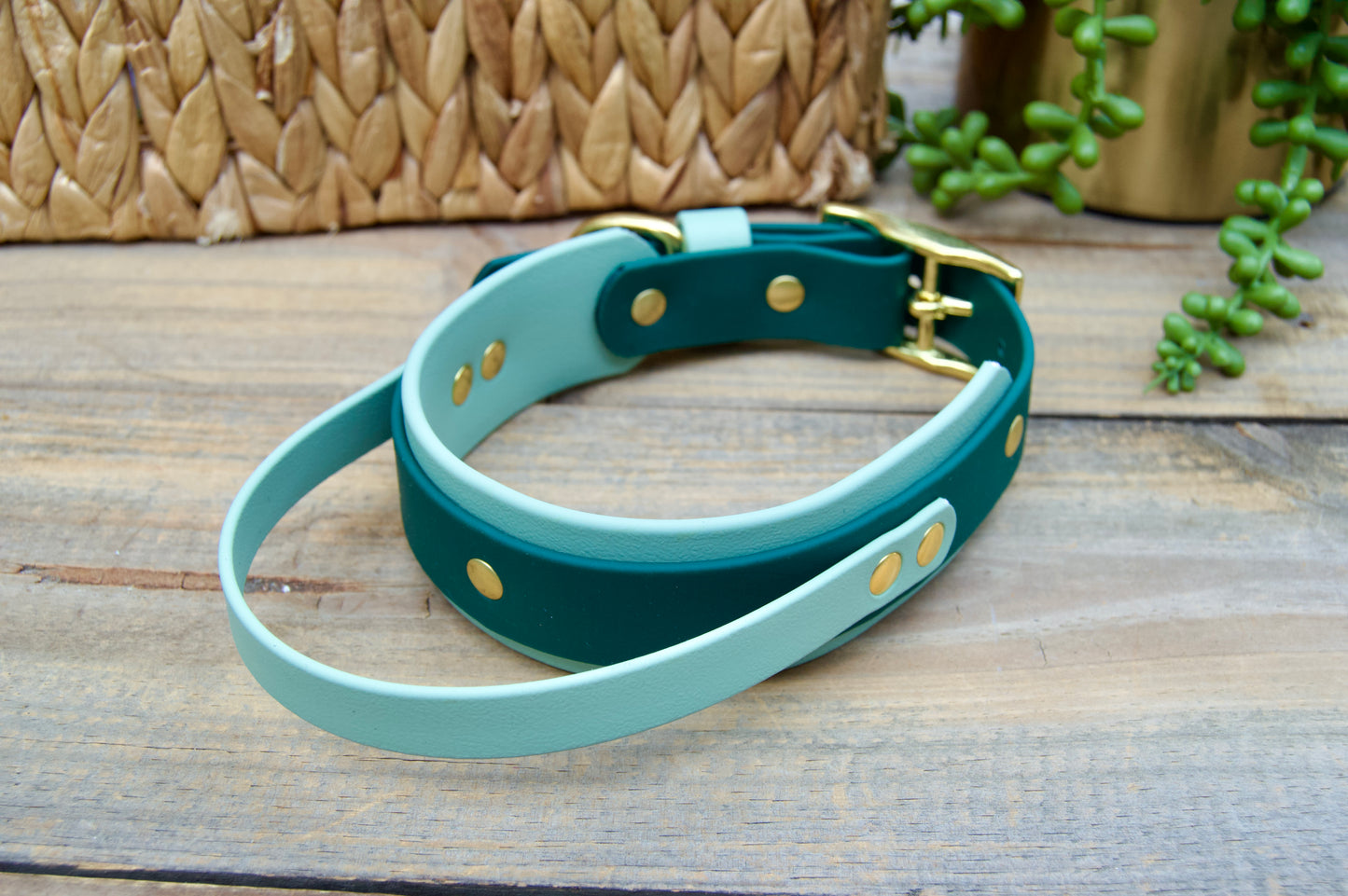 RTS 13-16 INCH Sage and Emerald Green Sport Handle Biothane Dog Collar