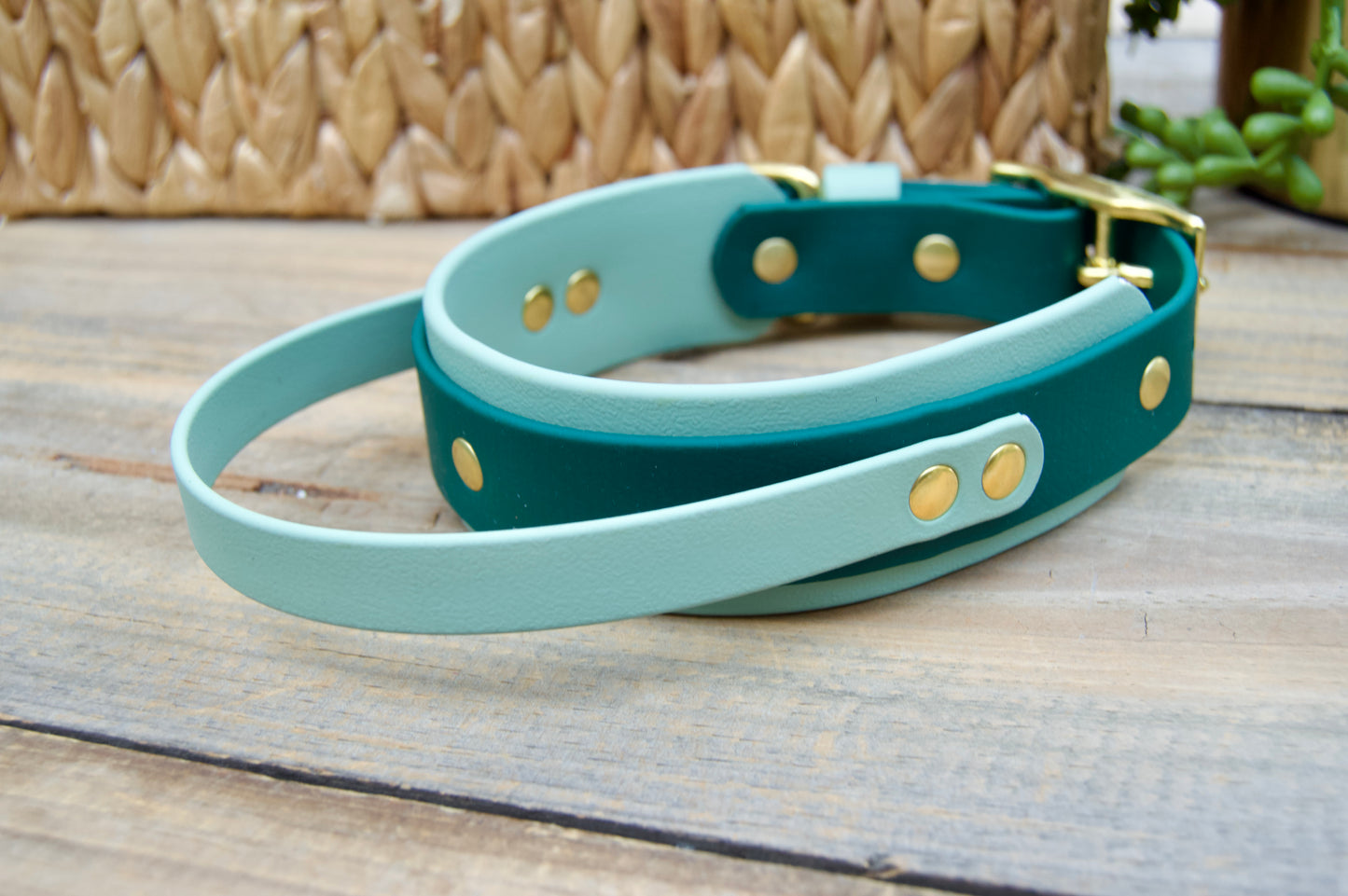 RTS 13-16 INCH Sage and Emerald Green Sport Handle Biothane Dog Collar