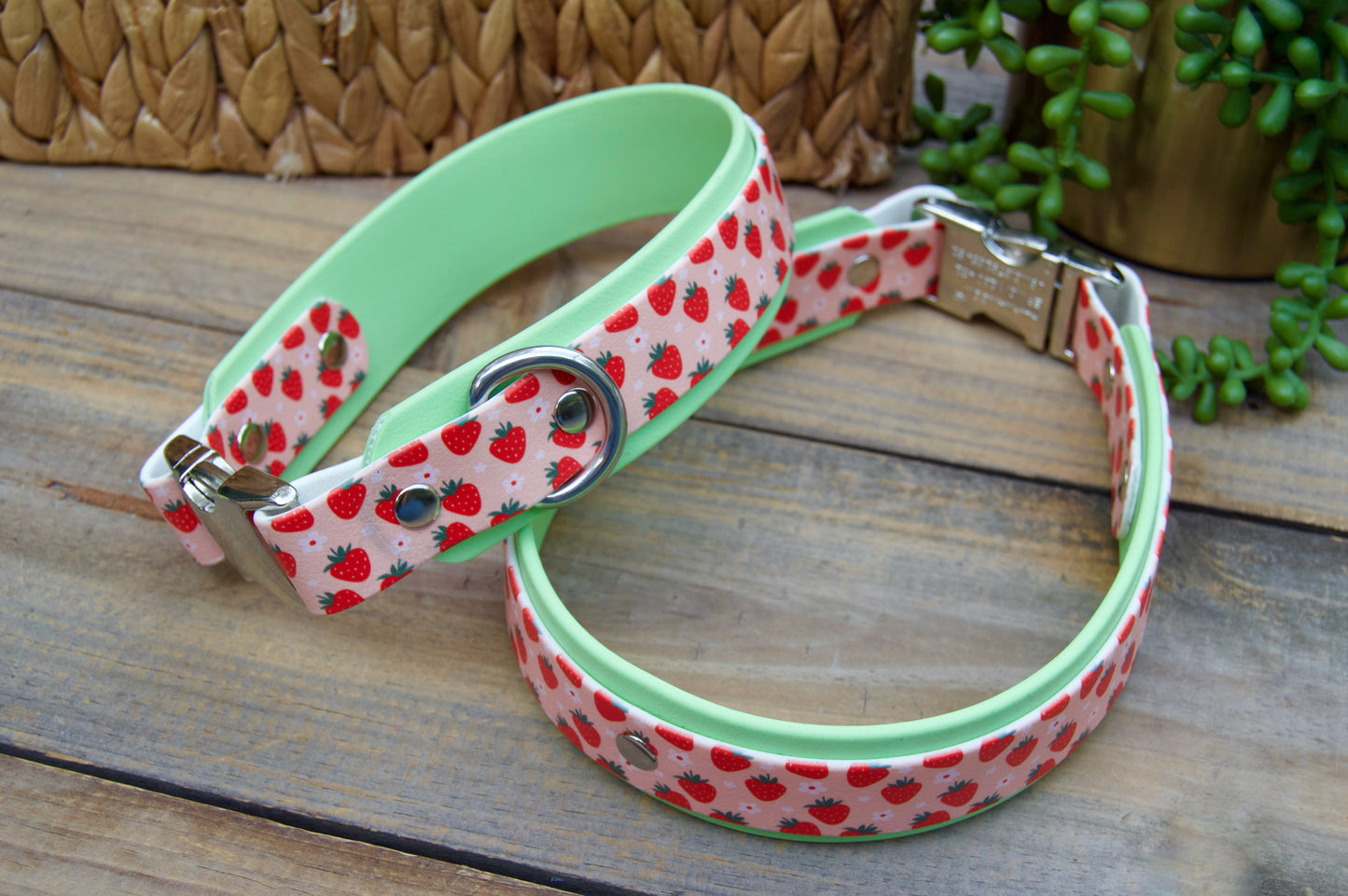 RTS Strawberry/Pastel Green Buckle Biothane Dog Collar