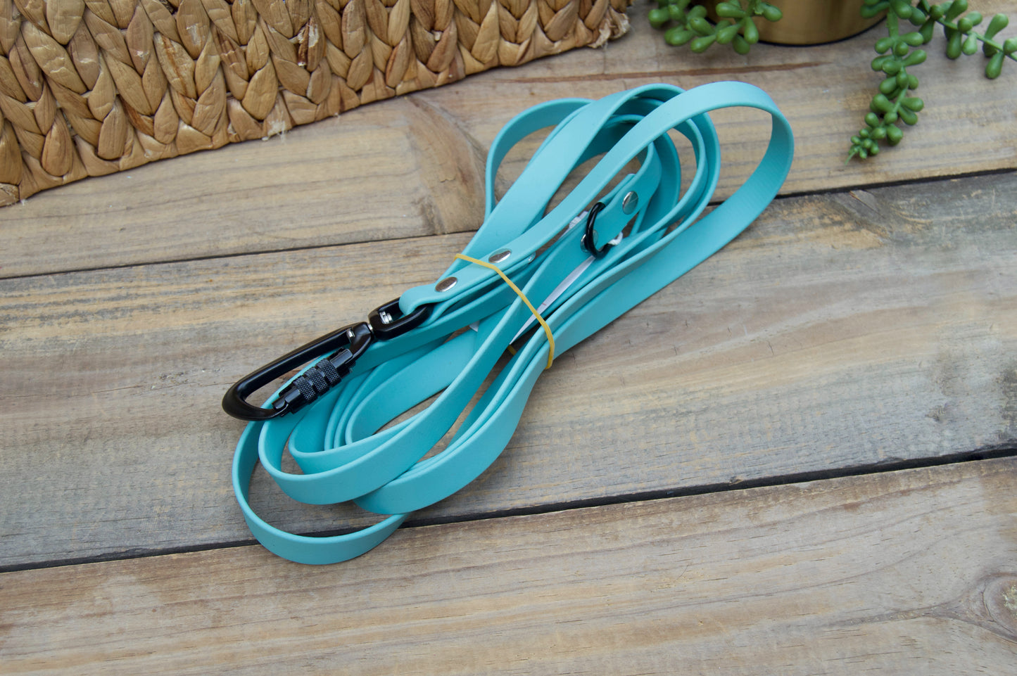 RTS 10 and 15 FOOT Classic Biothane Long Lines with Locking Carabiner