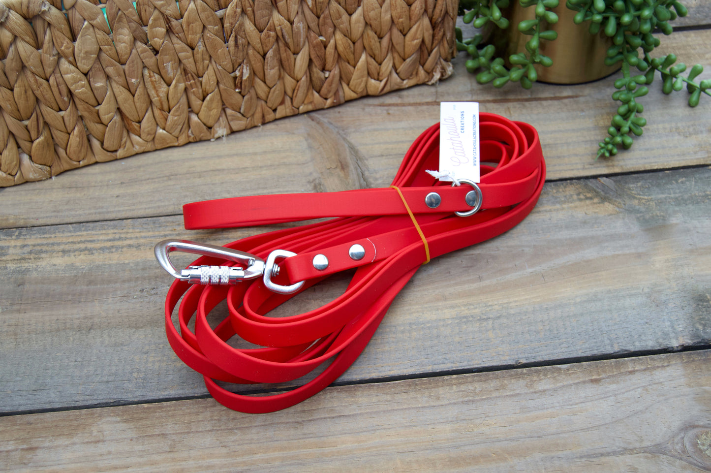 RTS 10 and 15 FOOT Classic Biothane Long Lines with Locking Carabiner