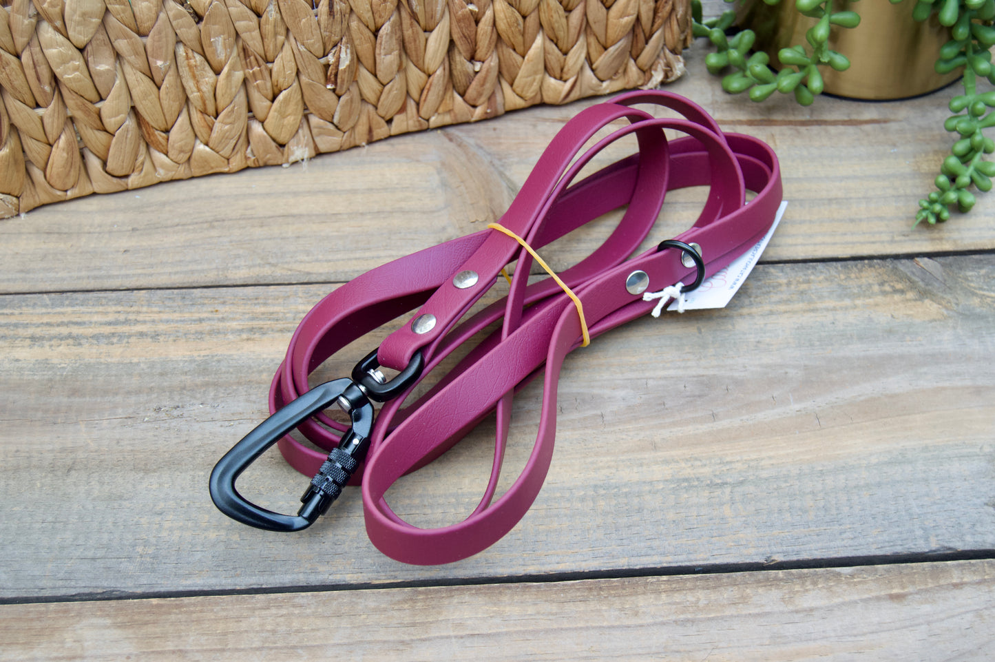 RTS 10 and 15 FOOT Classic Biothane Long Lines with Locking Carabiner