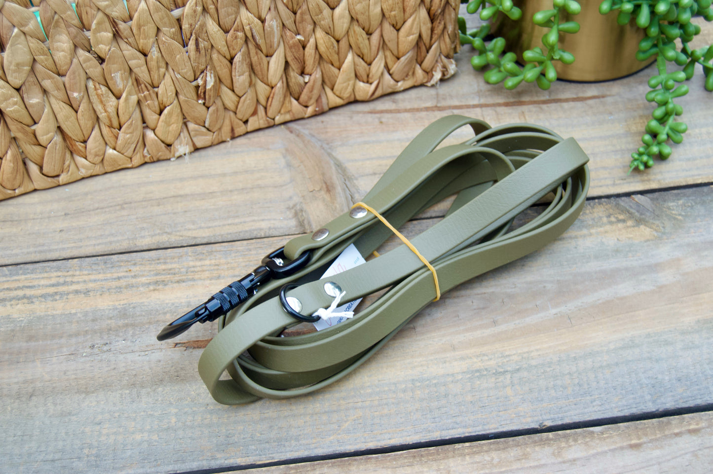 RTS 10 and 15 FOOT Classic Biothane Long Lines with Locking Carabiner