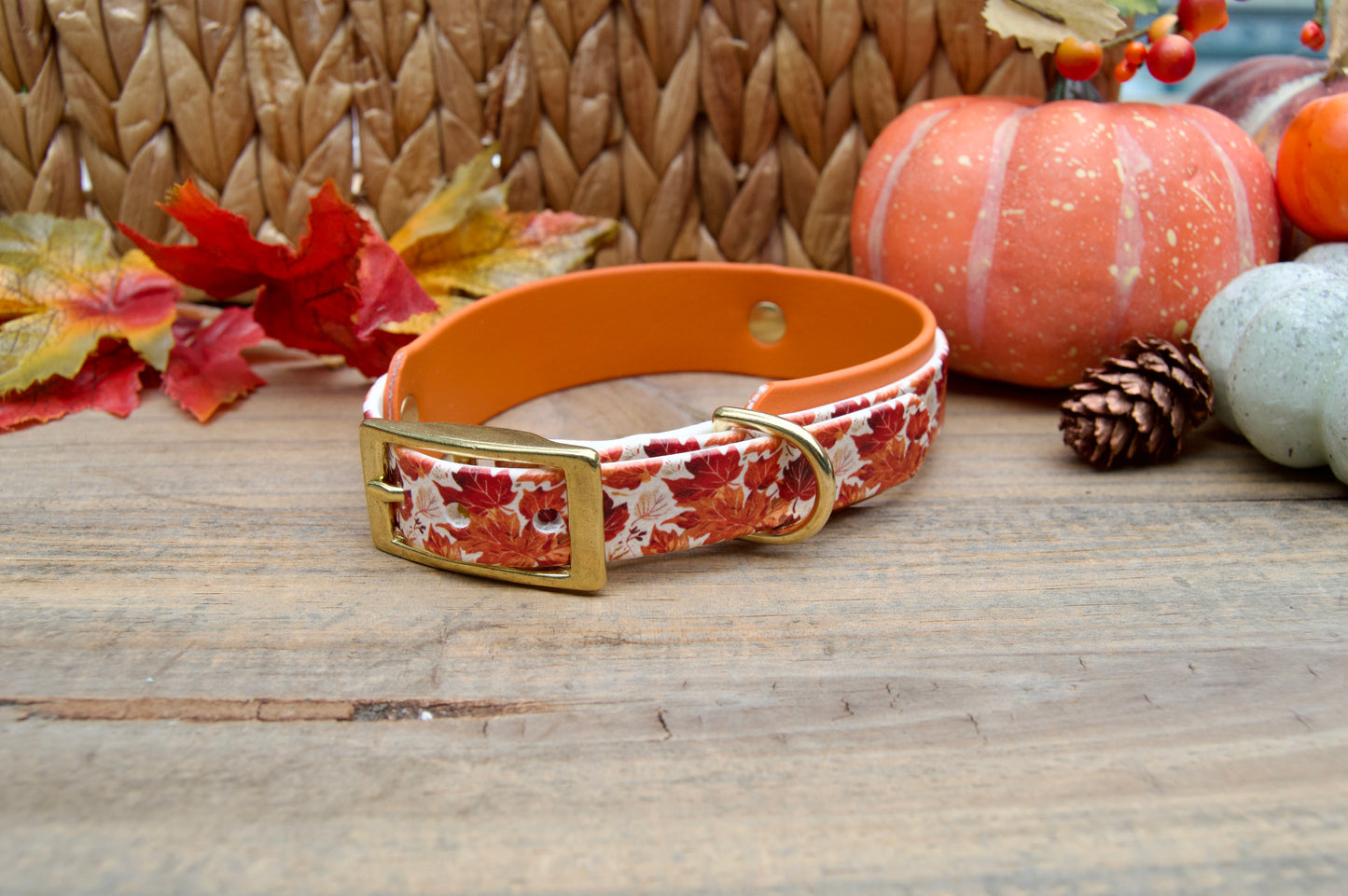 Fall Leaves: Mini Printed Double Layer Biothane Dog Collar