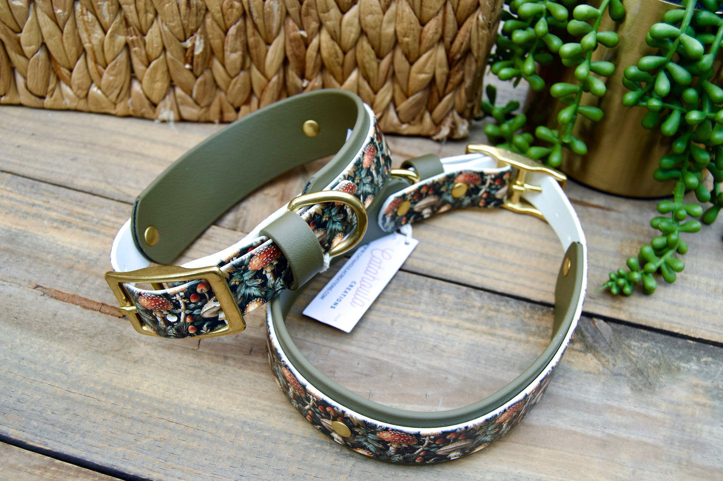 RTS Mushrooms and Olive Green Printed Double Layer Biothane Dog Collar