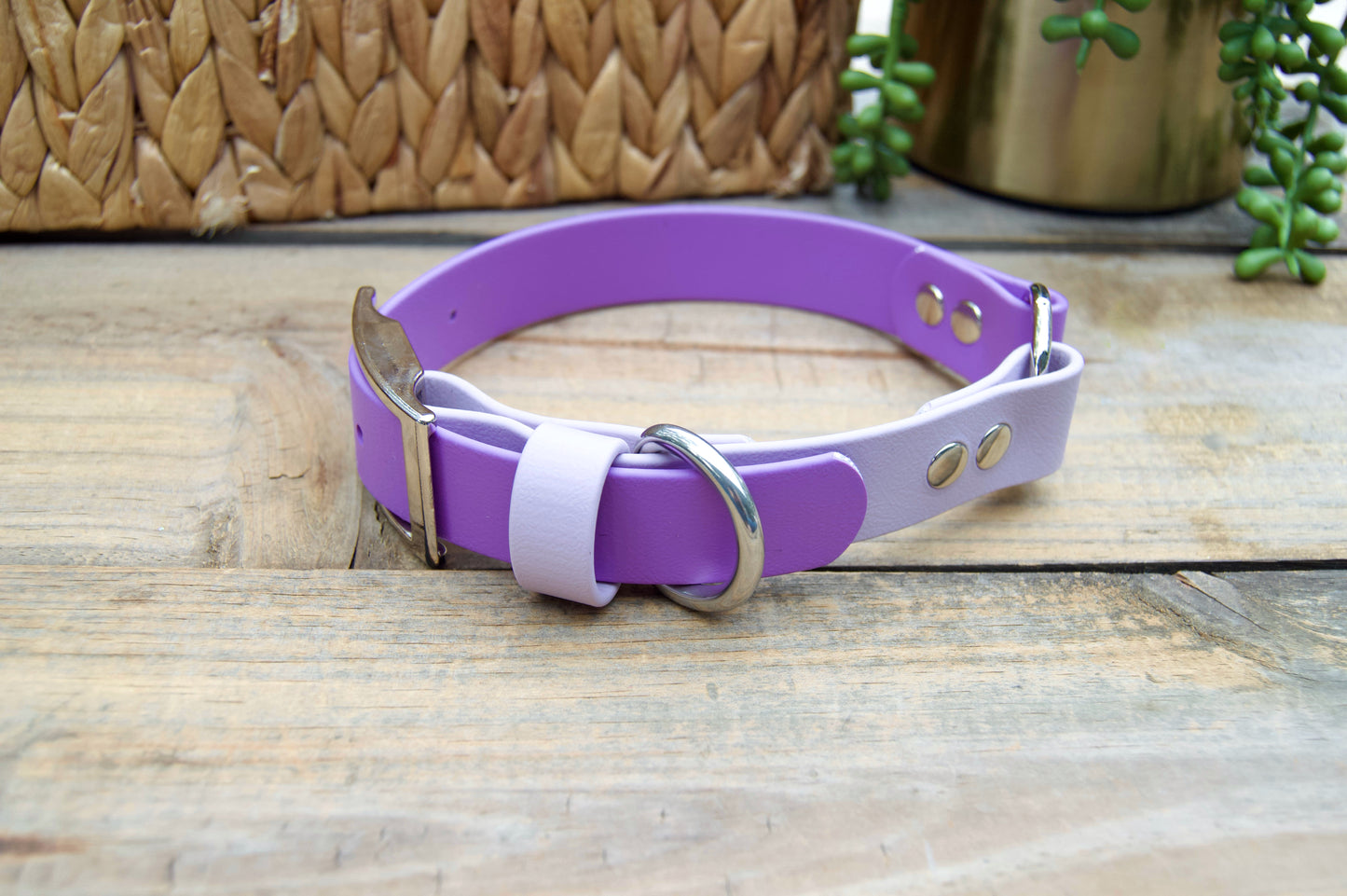 RTS Medium 13-16 INCH Lilac and Amethyst O-Ring Biothane Dog Collar