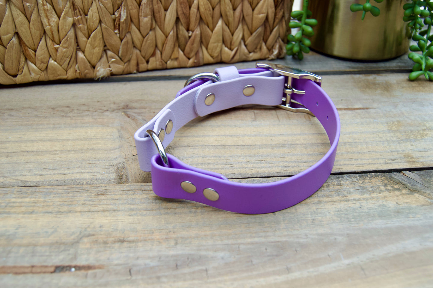 RTS Medium 13-16 INCH Lilac and Amethyst O-Ring Biothane Dog Collar