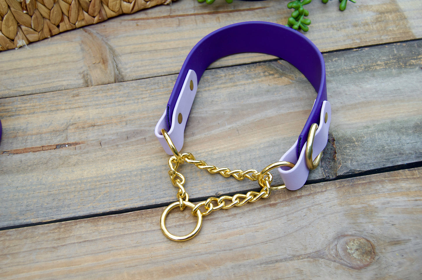 RTS Purple/Lilac Tapered Martingale Biothane Dog Collar
