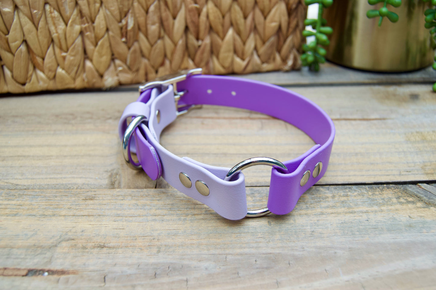 RTS Medium 13-16 INCH Lilac and Amethyst O-Ring Biothane Dog Collar