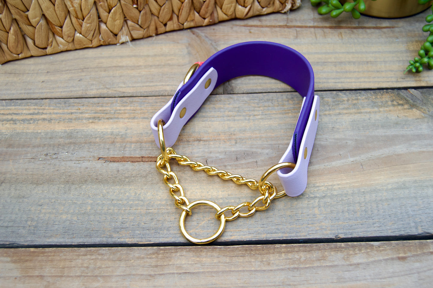RTS Purple/Lilac Tapered Martingale Biothane Dog Collar