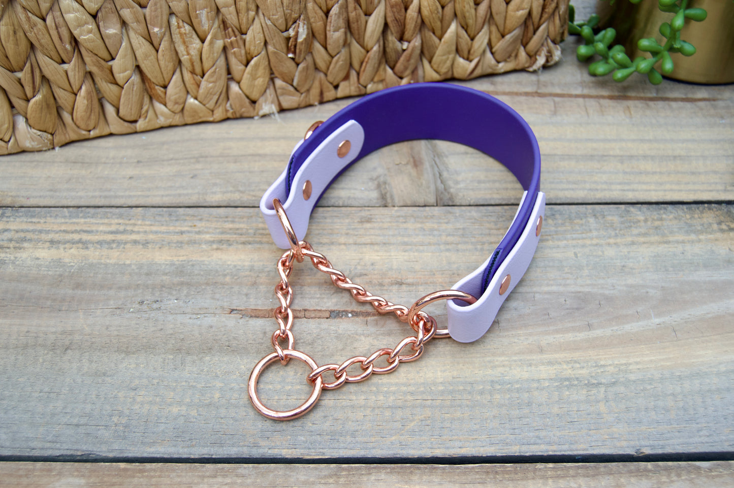 RTS Purple/Lilac Tapered Martingale Biothane Dog Collar