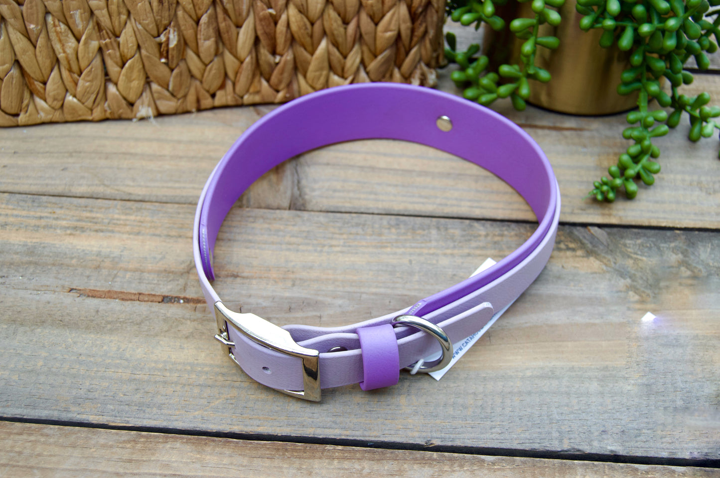 RTS Lilac and Amethyst Double Layer Biothane Dog Collar