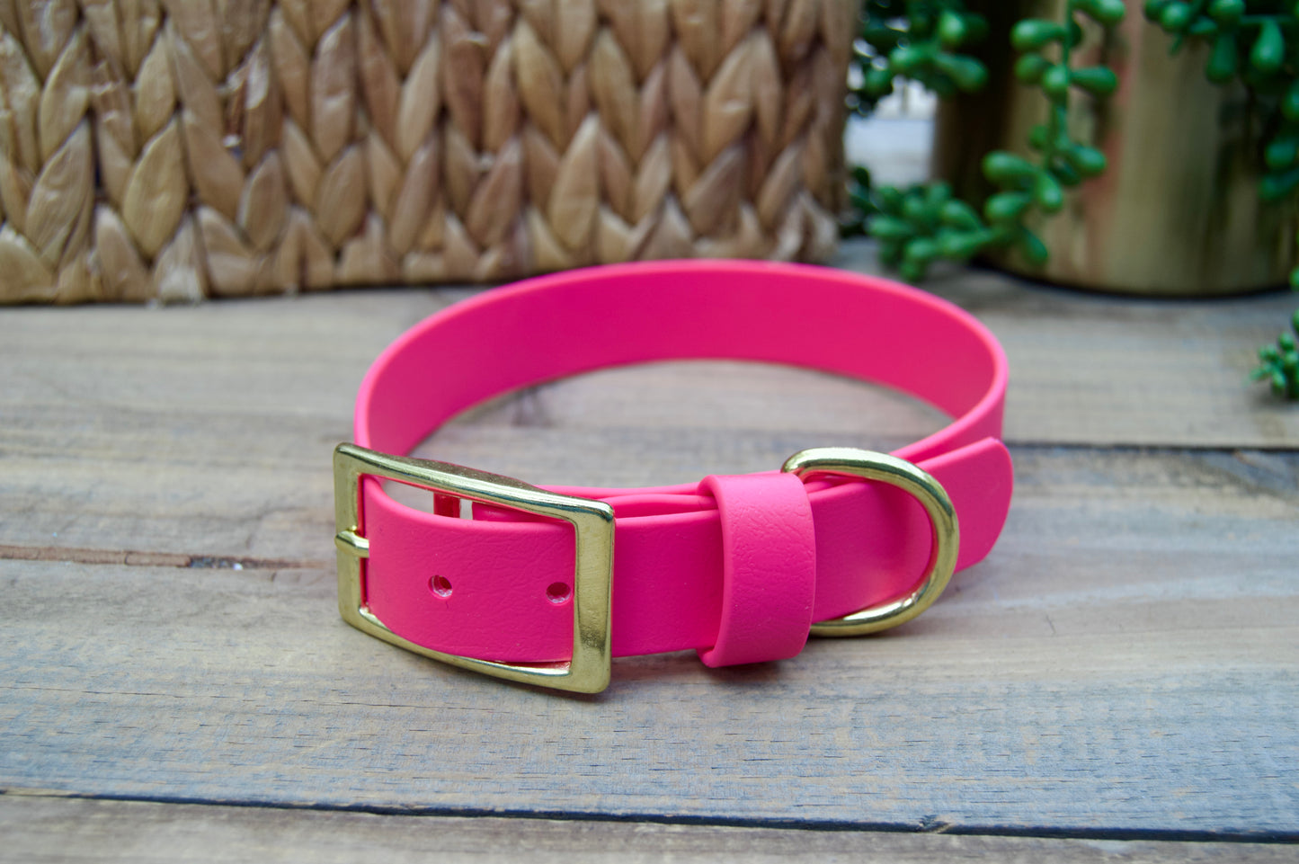 RTS 1 Inch Classic Biothane Dog Collar