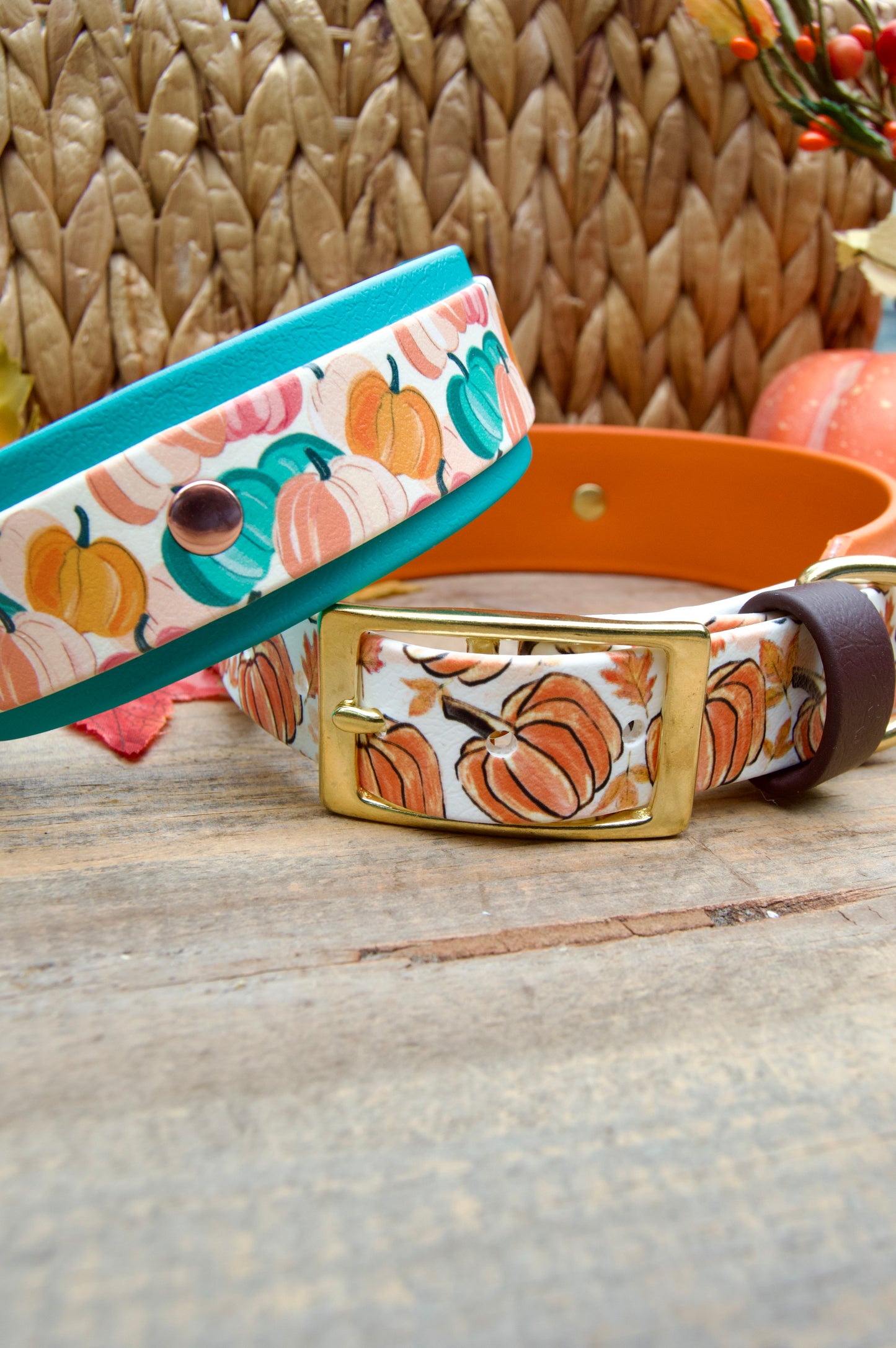 Pumpkins: Printed Double Layer Biothane Dog Collar