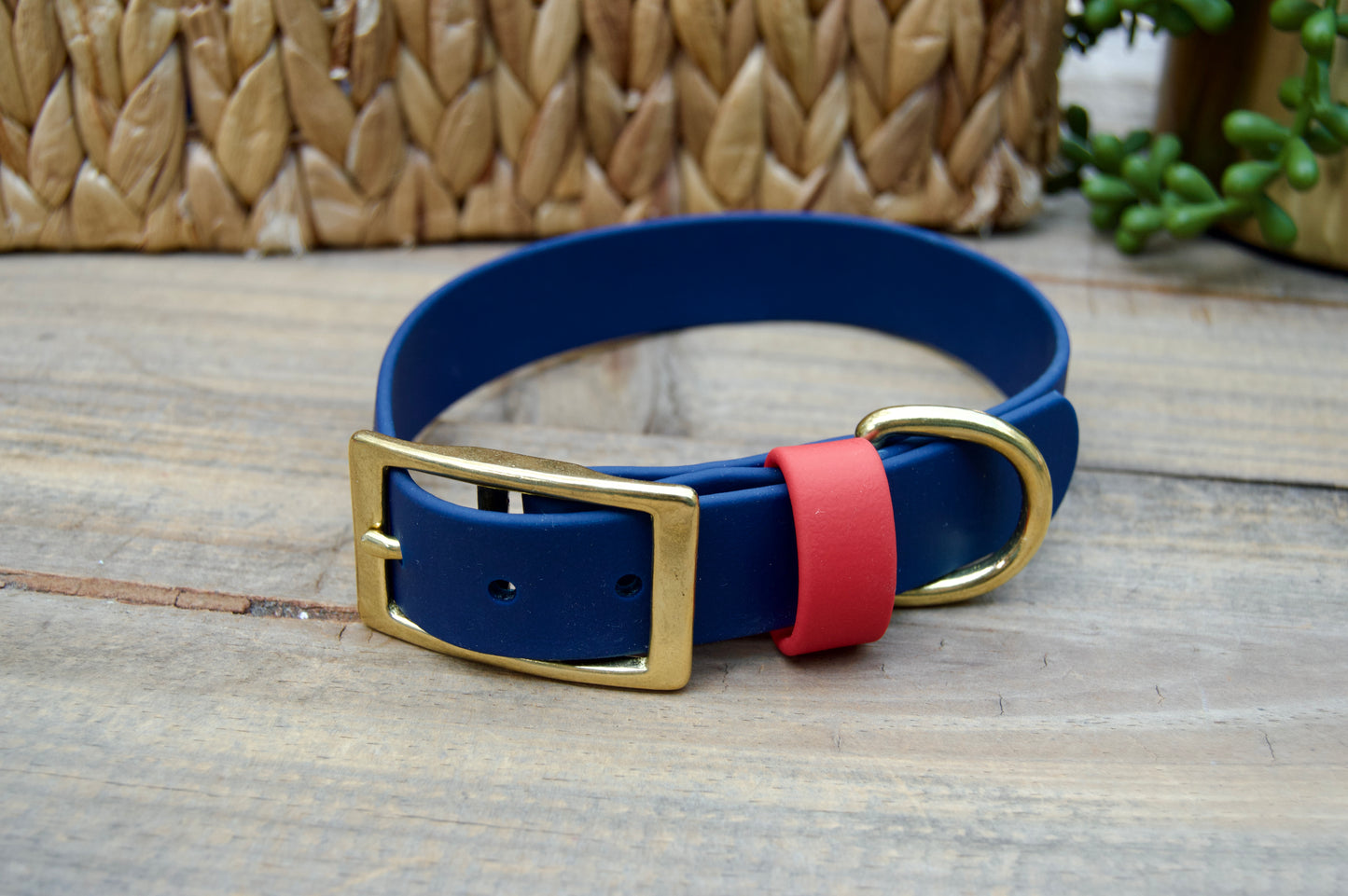 RTS 1 Inch Classic Biothane Dog Collar