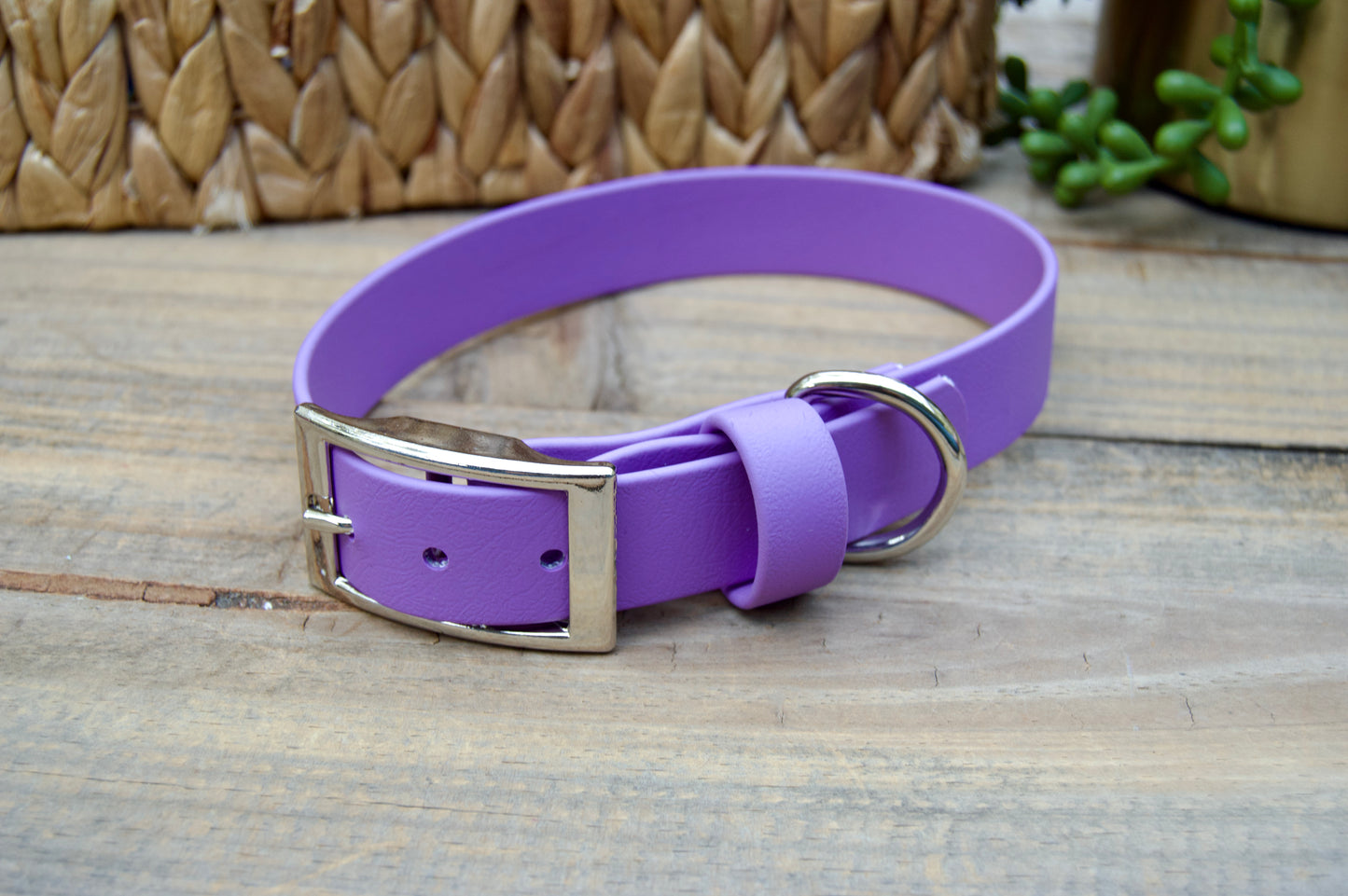 RTS 1 Inch Classic Biothane Dog Collar