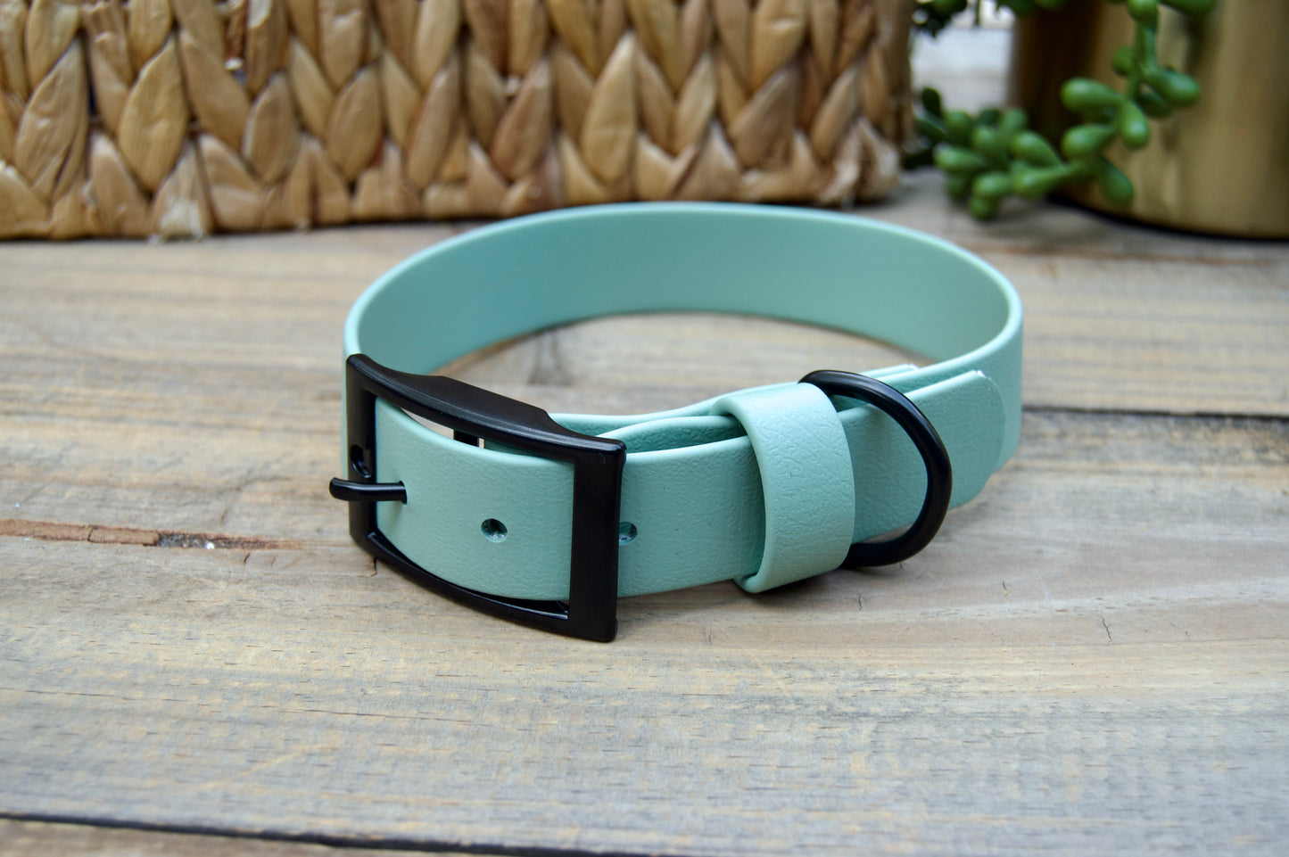 RTS 1 Inch Classic Biothane Dog Collar