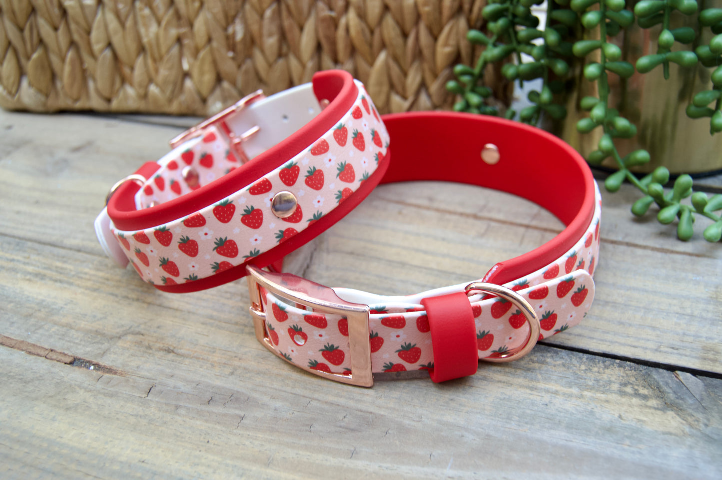 Strawberry: Printed Double Layer Biothane Dog Collar
