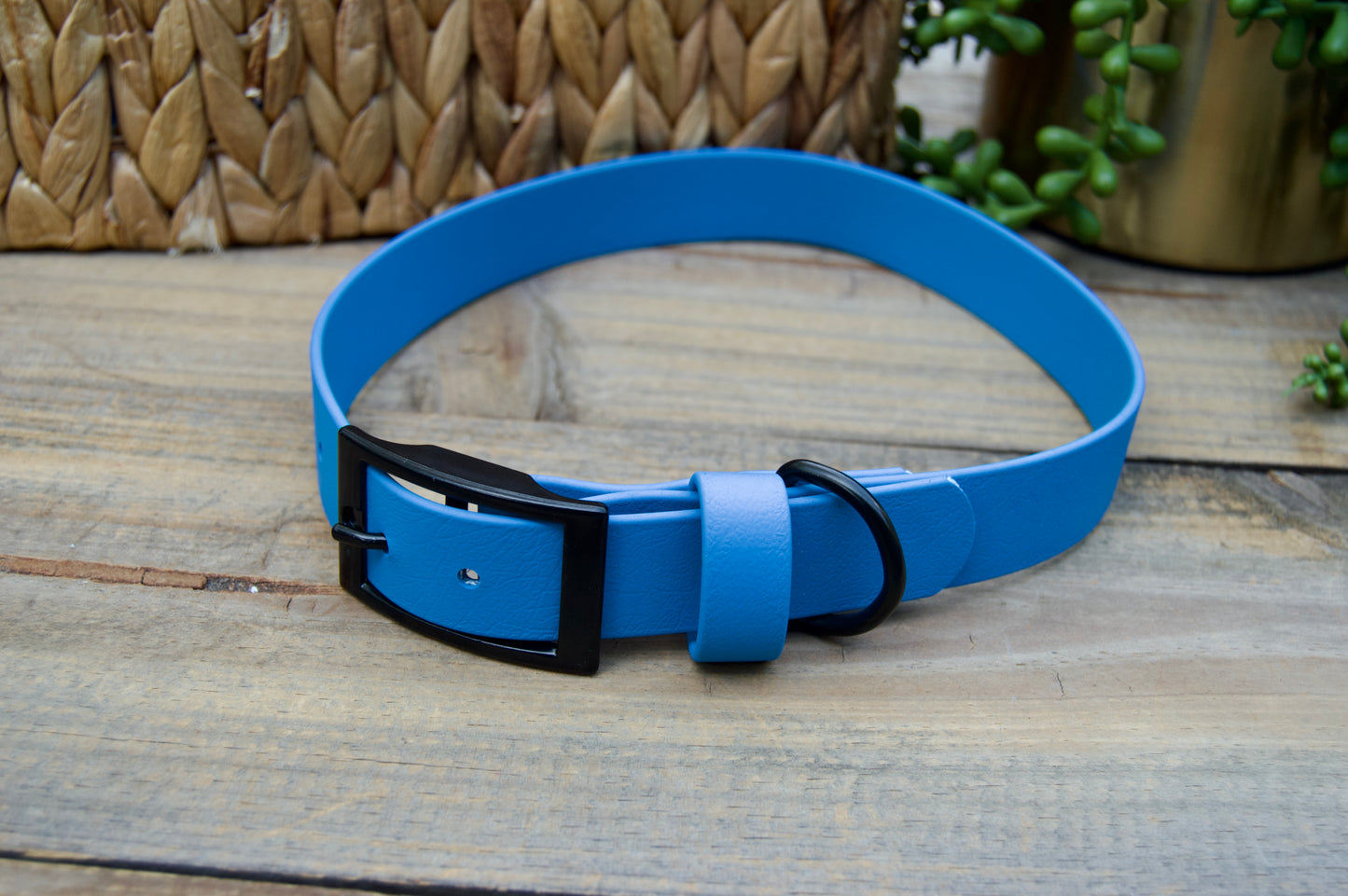RTS 1 Inch Classic Biothane Dog Collar