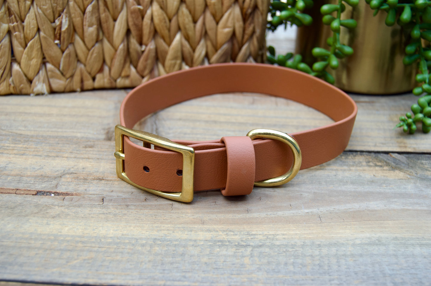 RTS 1 Inch Classic Biothane Dog Collar