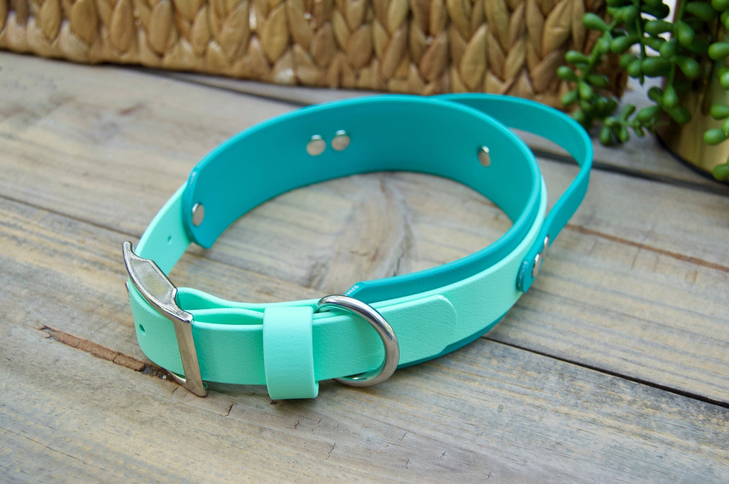 Sport Handle Double Layer Biothane Dog Collar