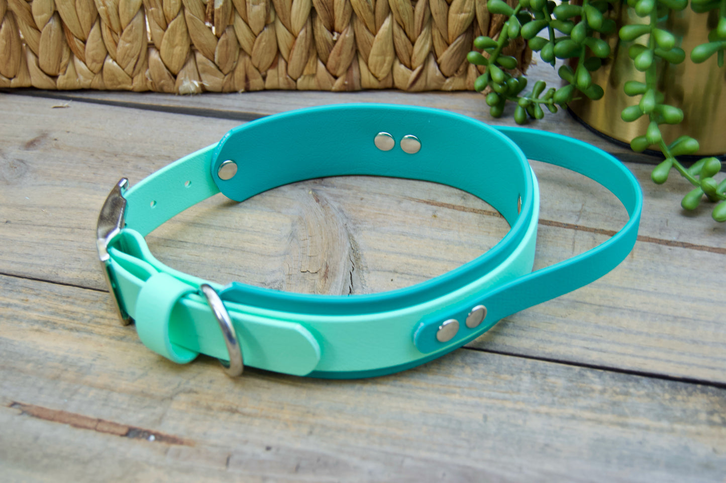 Sport Handle Double Layer Biothane Dog Collar