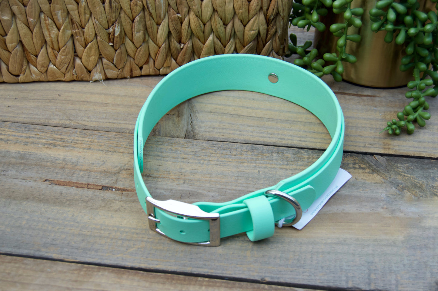 RTS 19-22 INCH Mint Green Double Layer Biothane Dog Collar