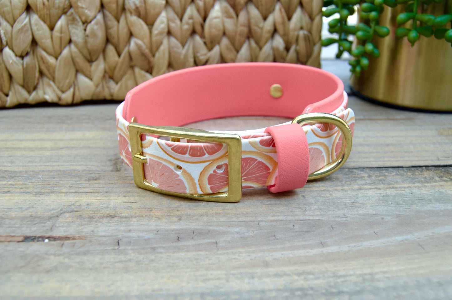 Grapefruit: Printed Double Layer Biothane Dog Collar