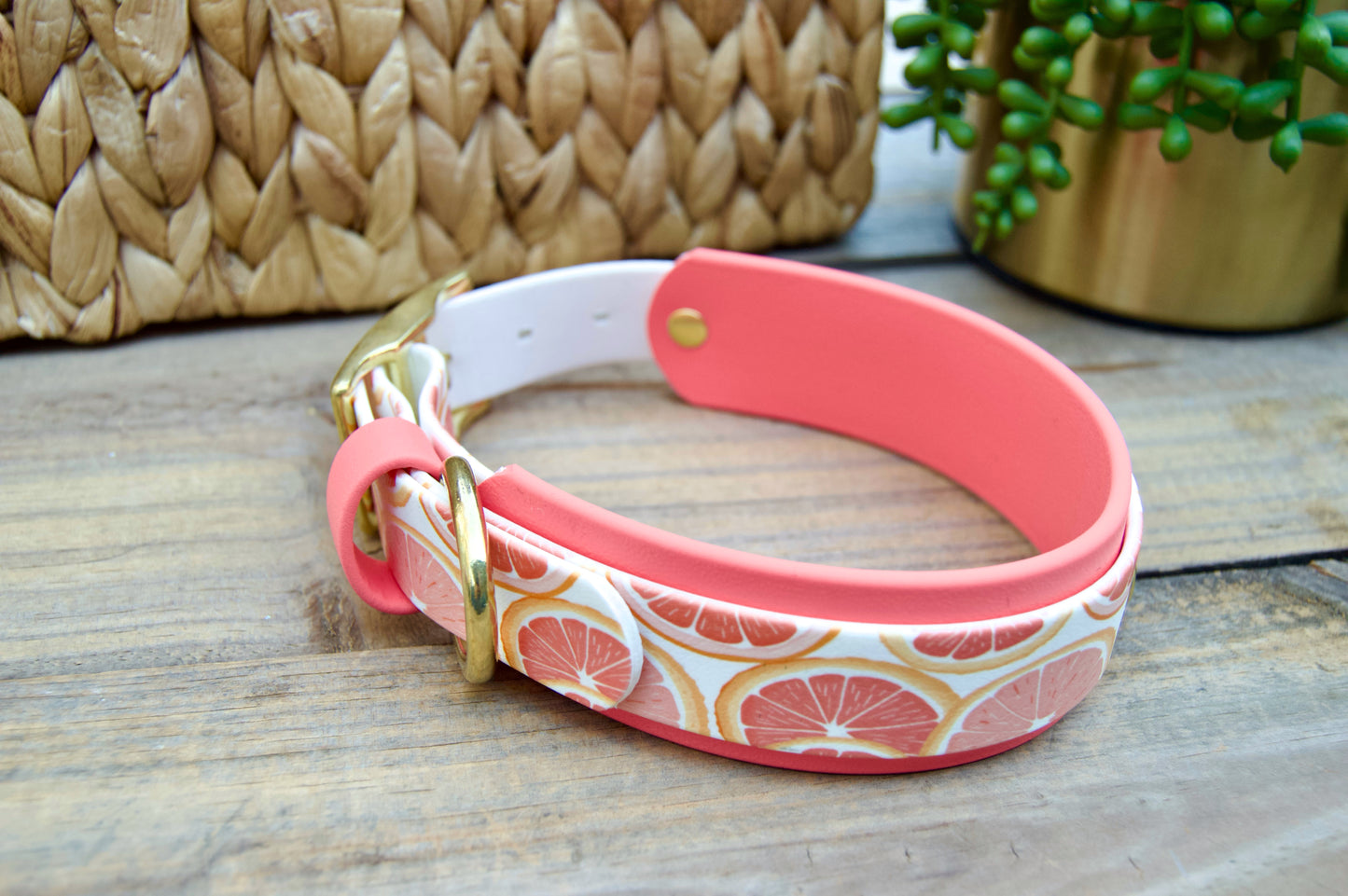 Grapefruit: Printed Double Layer Biothane Dog Collar