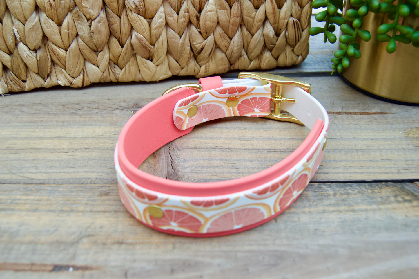 Grapefruit: Printed Double Layer Biothane Dog Collar
