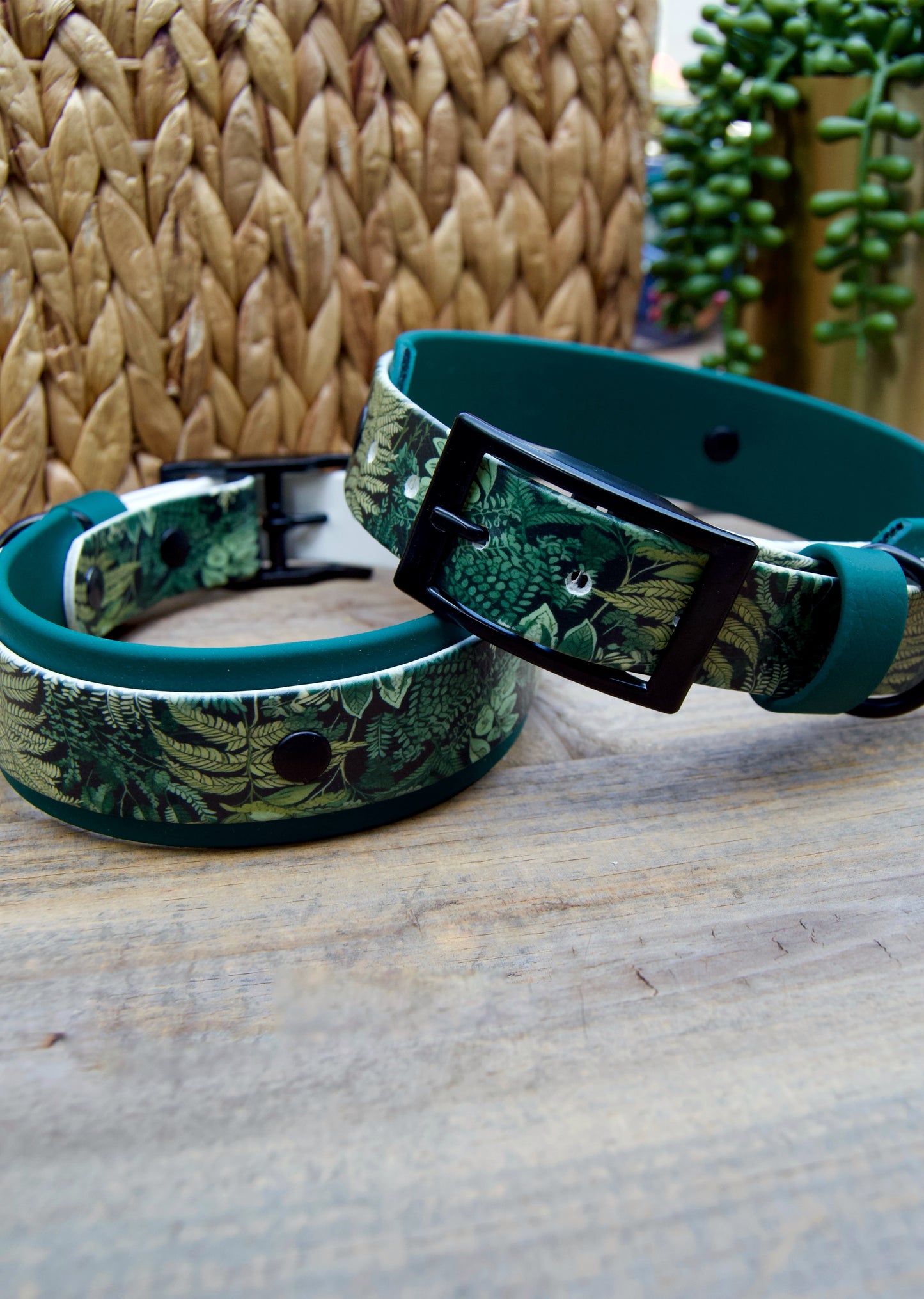 Fern: Printed Double Layer Biothane Dog Collar