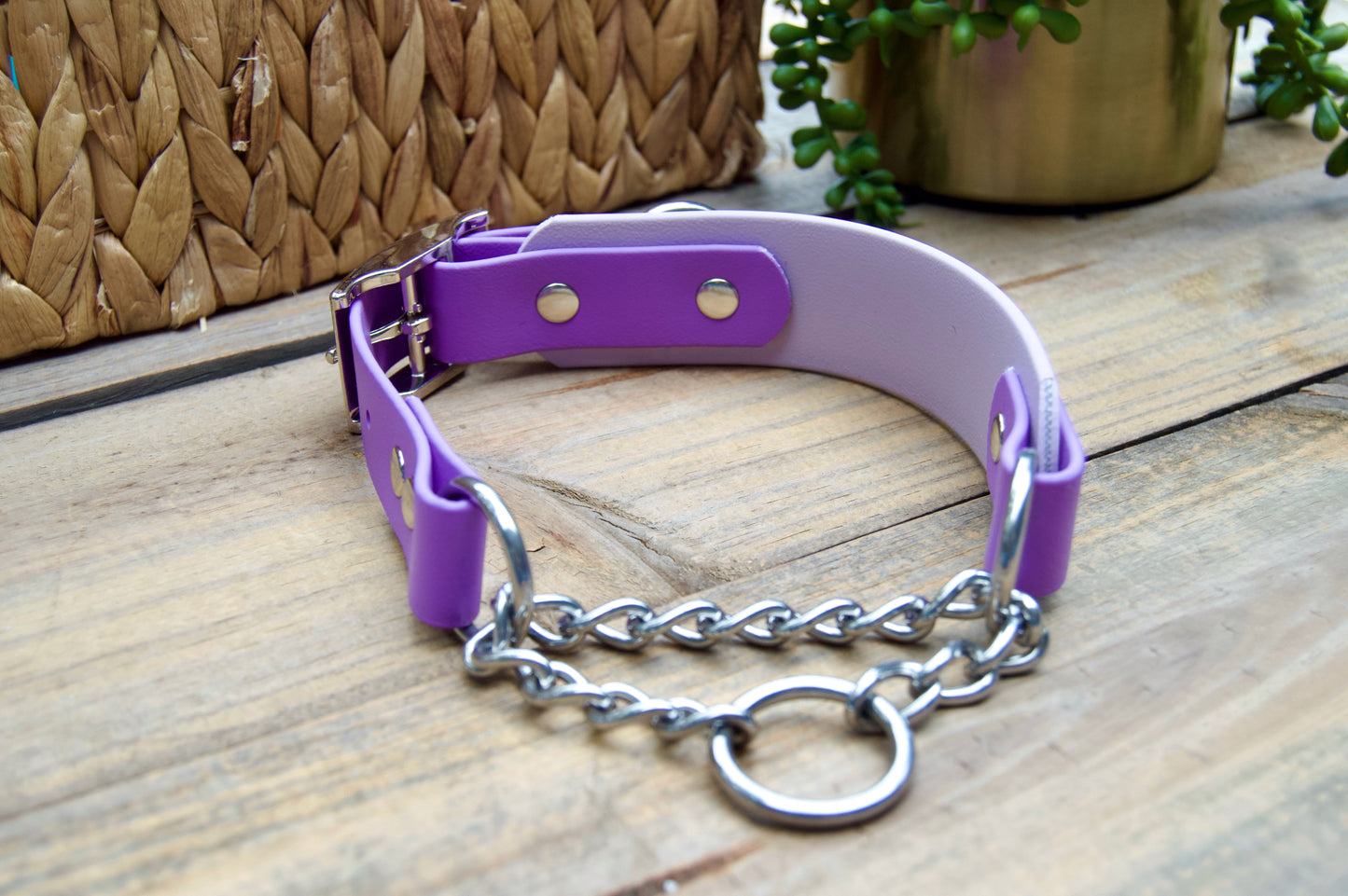 Adjustable Two Color Tapered Martingale Biothane Dog Collar