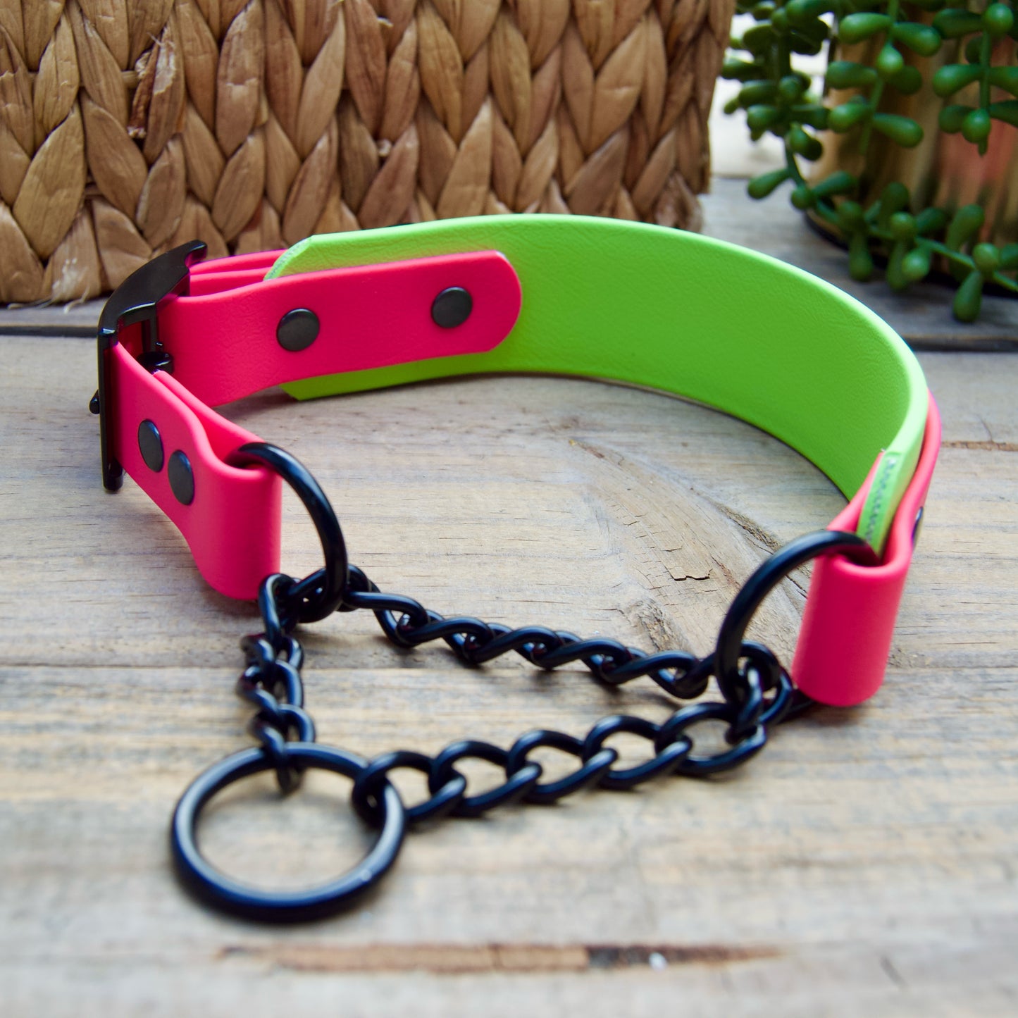 Adjustable Two Color Tapered Martingale Biothane Dog Collar