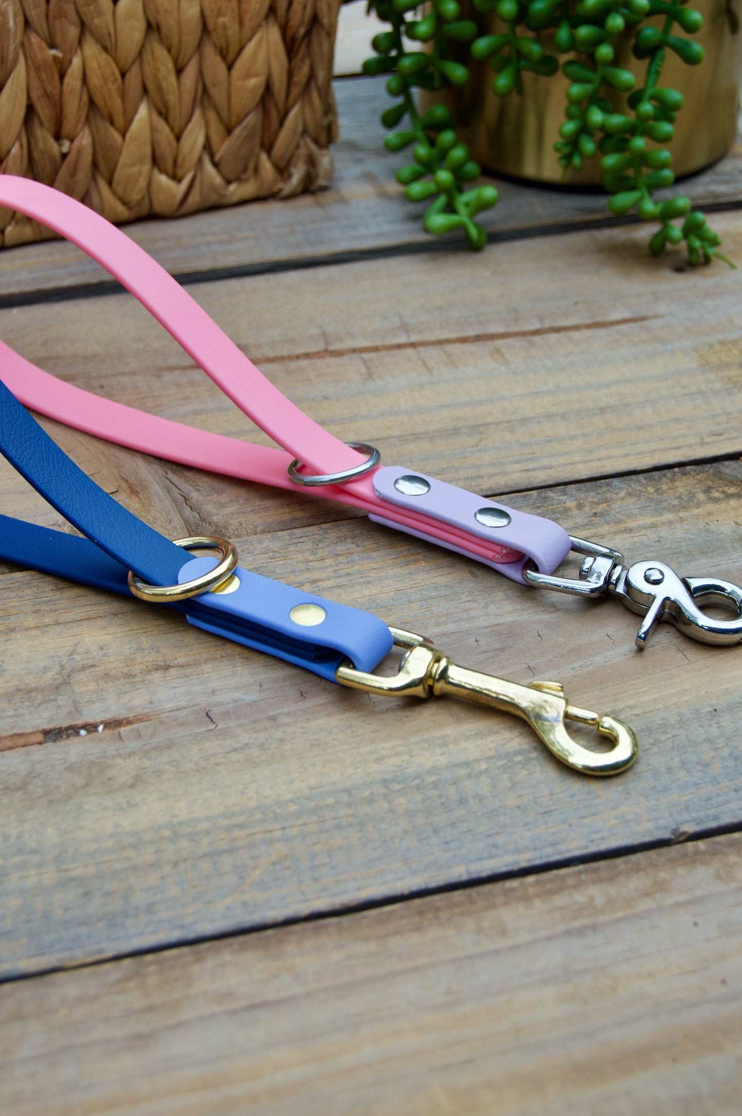 Two Color Biothane Grab Handle Dog Leash