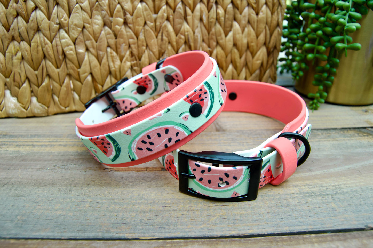Watermelon: Printed Double Layer Biothane Dog Collar